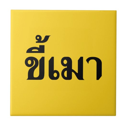 Beer Addict ☆ Kee Mao in Thai Language ☆ タイル (正面)