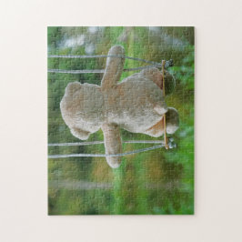 Beer op schommel vanaf de rug. ジグソーパズル