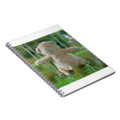 Beer op schommel vanaf de rug. ノートブック (右側)