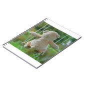 Beer op schommel vanaf de rug. ノートブック (左側)