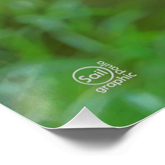 Beer op schommel vanaf de rug. ポスター (コーナー)