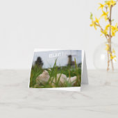 Beer relaxt in natuur met Hollandse molen. カード (黄色い花)