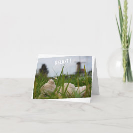 Beer relaxt in natuur met Hollandse molen. カード