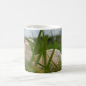 Beer relaxt in natuur met Hollandse molen. コーヒーマグカップ (中央)