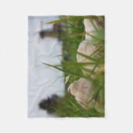 Beer relaxt in natuur met Hollandse molen. フリースブランケット