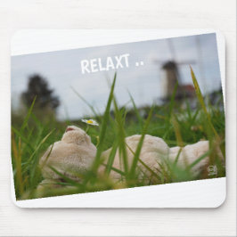 Beer relaxt in natuur met Hollandse molen. マウスパッド