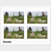 Beer relaxt in natuur met Hollandse molen. 長方形シール (シート)