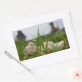 Beer relaxt in natuur met Hollandse molen. 長方形シール (封筒)