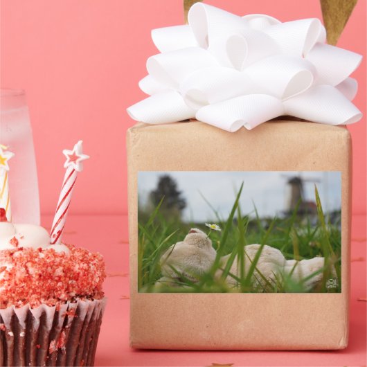 Beer relaxt in natuur met Hollandse molen. 長方形シール (パーティー)