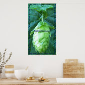 BeerContinuumポスター ポスター (キッチン)