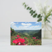 Beershebaは郵便はがきはねます ポストカード (スタンド正面)