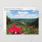 Beershebaは郵便はがきはねます ポストカード (正面/裏面)