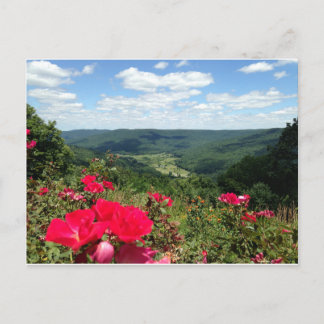 Beershebaは郵便はがきはねます ポストカード