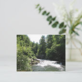 Beershebaは郵便はがきはねます ポストカード (スタンド正面)