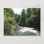 Beershebaは郵便はがきはねます ポストカード (正面)