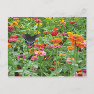 Beershebaは郵便はがきはねます ポストカード