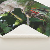 Beertje dat bij kampvuur zit. シェルパブランケット (3/4)