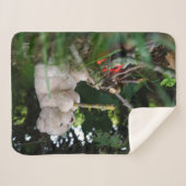 Beertje dat bij kampvuur zit. シェルパブランケット (正面(横))