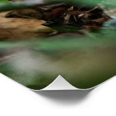 Beertje dat bij kampvuur zit. ポスター (コーナー)