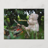 Beertje dat bij kampvuur zit. ポストカード (正面)