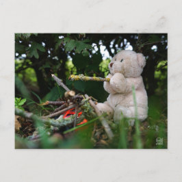 Beertje dat bij kampvuur zit. ポストカード