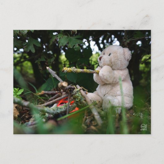 Beertje dat bij kampvuur zit. ポストカード (正面)