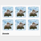 Beertje op schommel met bewolkte blauwe lucht. スクエアシール (シート)