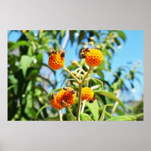 Bees at Workポスター ポスター (正面)