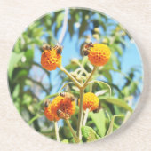 Bees at Work砂岩コースター コースター (正面)