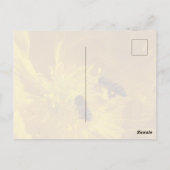 Bees Postcard ポストカード (裏面)