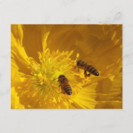 Bees Postcard ポストカード