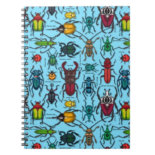 Beetles on blue ノートブック (正面)
