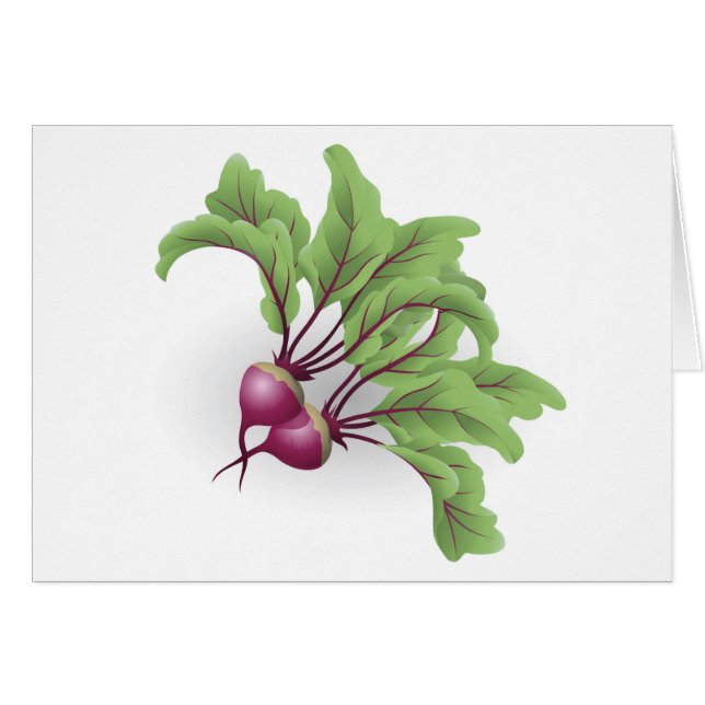 Beetrootのイラストレーション (正面横)