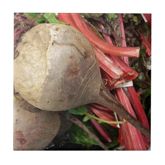 Beetroot タイル (正面)