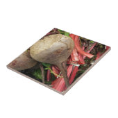 Beetroot タイル (側面)