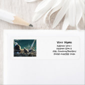 BEFの白頭鷲家族 ラベル (インサイチュ)