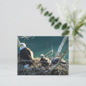 BEFバルトイーグルファミリー ポストカード (スタンド正面)