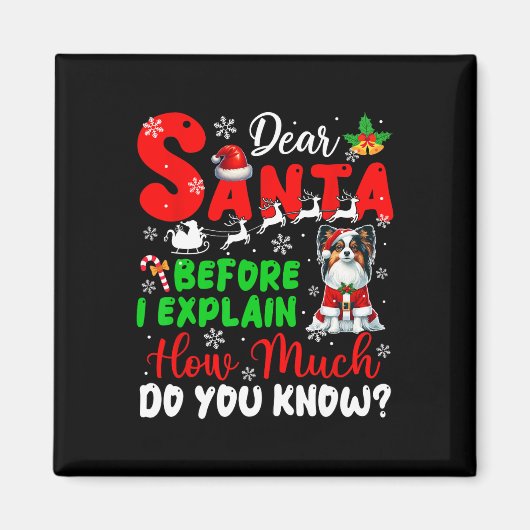 Before I Explain How Much You Know Xmas Papillon O マグネット (正面)