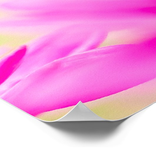 Before the Bloom ポスター (角)