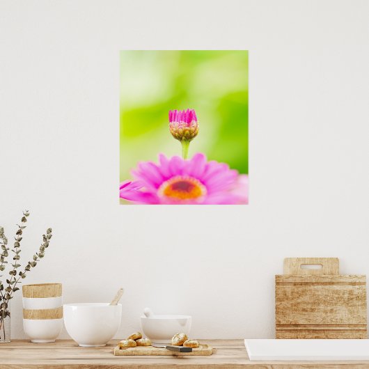 Before the Bloom ポスター (キッチン)