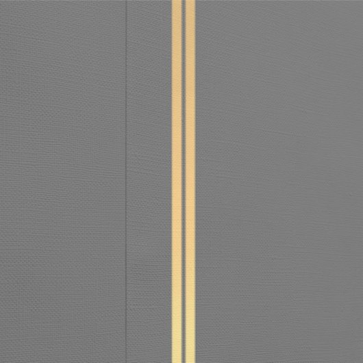 Behang modern streep 壁紙 (縫い目)