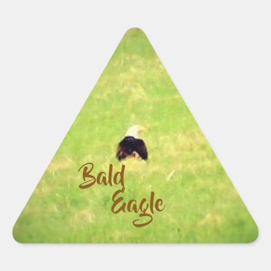 Behind a Bald Eagle Stickers 三角形シール (正面)