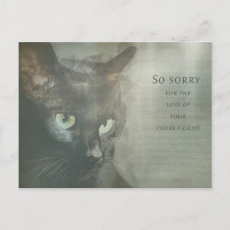 Beileidskarte Katze - Schwarz - Sympathy Card ポストカード