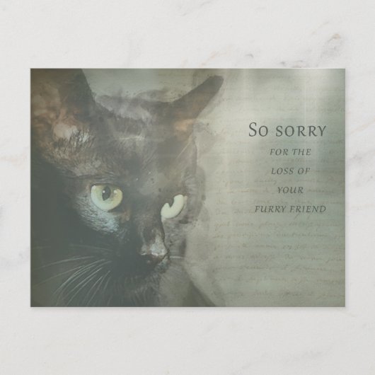 Beileidskarte Katze - Schwarz - Sympathy Card ポストカード (正面)