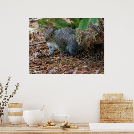 Being Careful ポスター (キッチン)