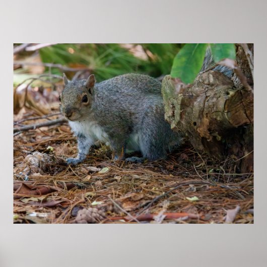 Being Careful ポスター (正面)