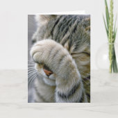 Belated Birthday Gray Tabby Cat カード (正面)