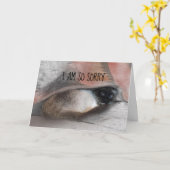 Belated Sorry Siamese子猫交換可能写真 カード (黄色い花)