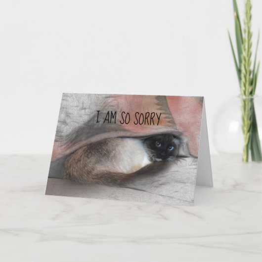 Belated Sorry Siamese子猫交換可能写真 カード (正面)