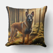 Belgian Malinois クッション (正面)